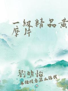 一级精品黄色按摩片