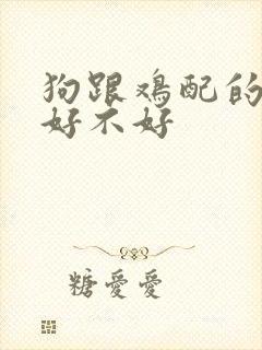 狗跟鸡配的婚姻好不好