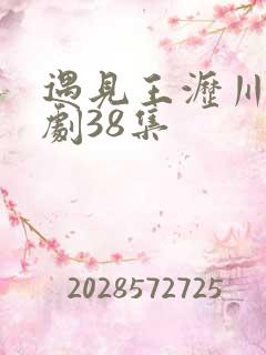 遇见王沥川电视剧38集
