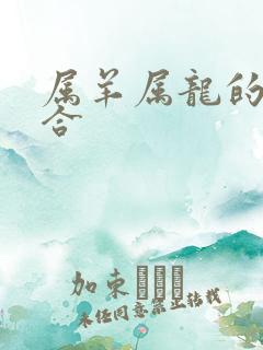 属羊属龙的合不合