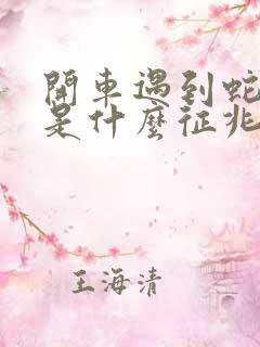 开车遇到蛇让路是什么征兆