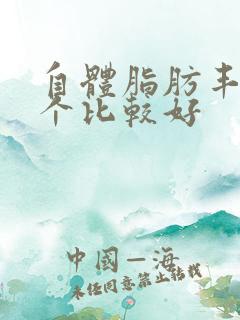 自体脂肪丰胸那个比较好