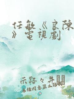 任敏《良陈美锦》电视剧