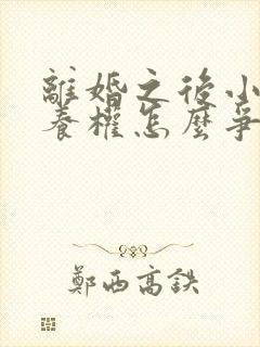 离婚之后小孩抚养权怎么争取