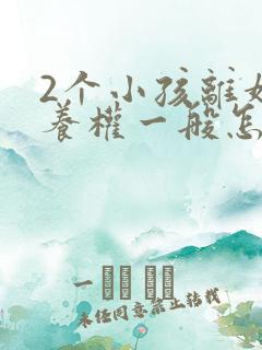 2个小孩离婚抚养权一般怎么判