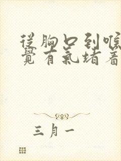 从胸口到喉咙感觉有气堵着