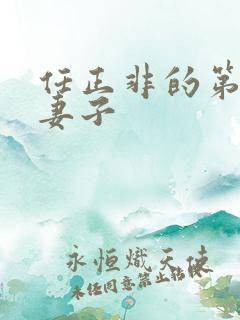 任正非的第三任妻子