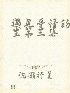 遇见爱情的利先生第三集