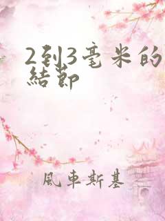 2到3毫米的肺结节