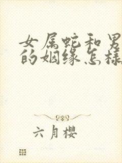 女属蛇和男属马的姻缘怎样