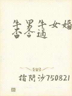 牛男牛女婚配是否合适