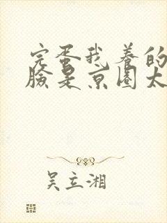 完蛋我养的小白脸是京圈太子爷短剧