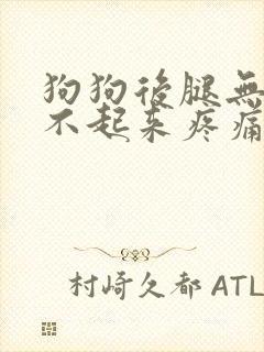 狗狗后腿无力站不起来疼痛