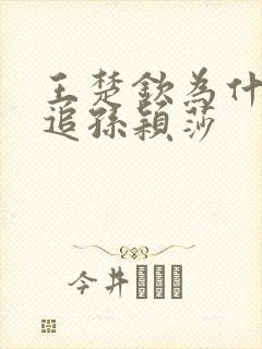 王楚钦为什么不追孙颖莎