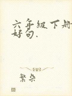 六年级下册好词好句.