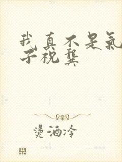 我真不是气运之子祝龚