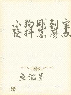 小狗刚到家怕人发抖怎么办