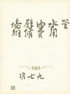 墙壁内水管漏水维修费用