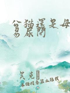 公猫还是母猫容易尿闭