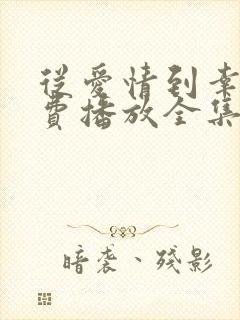 从爱情到幸福免费播放全集高清