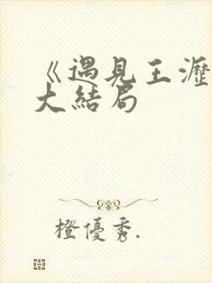 《遇见王沥川》大结局