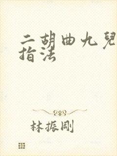 二胡曲九儿简谱指法