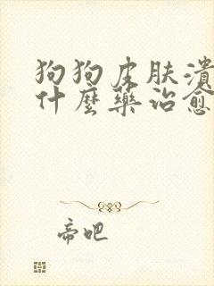 狗狗皮肤溃烂用什么药治愈最快