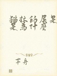 猫拉的屎是软的是为什么