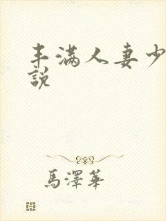 丰满人妻少妇小说