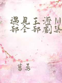 遇见王沥川第二部全部剧集