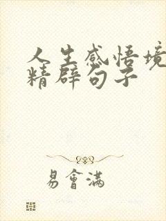 人生感悟境界高精辟句子