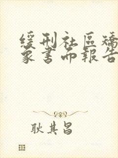 缓刑社区矫正对象书面报告