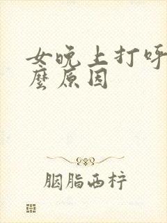 女晚上打呼噜什么原因