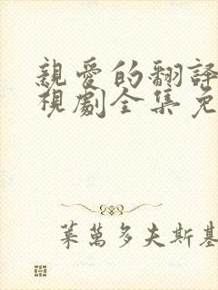 亲爱的翻译官电视剧全集免费观看