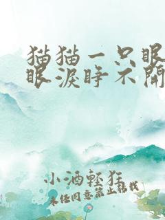 猫猫一只眼睛流眼泪睁不开