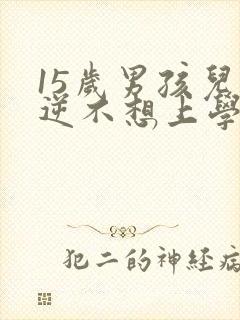 15岁男孩儿叛逆不想上学怎么办