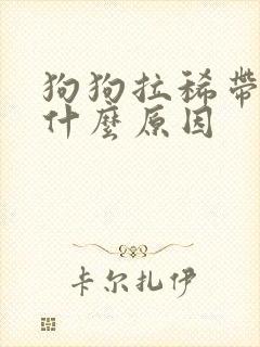 狗狗拉稀带血是什么原因