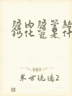 胆内胆管结石或钙化灶是什么意思