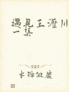 遇见王沥川最后一集