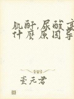 肌酐,尿酸高是什么原因导致的