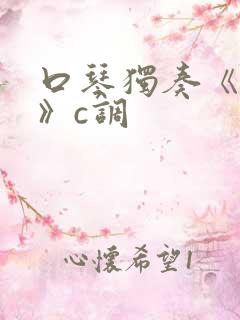 口琴独奏《驼铃》c调