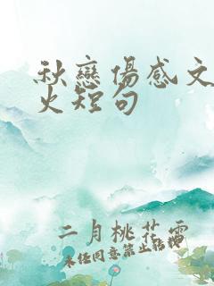 秋恋伤感文案最火短句