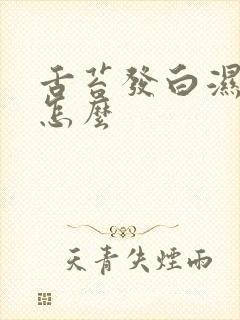 舌苔发白湿气重怎么