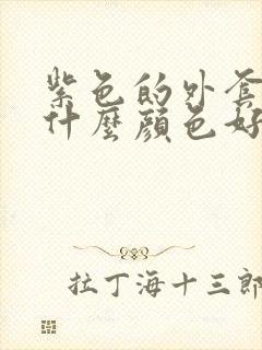 紫色的外套内搭什么颜色好看