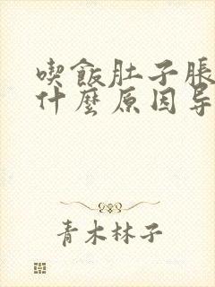 吃饭肚子胀气是什么原因导致的