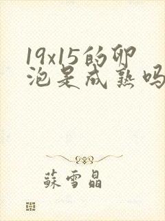 19x15的卵泡是成熟吗