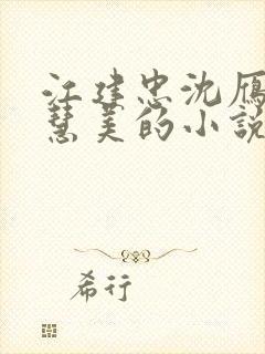 江建忠沈雁冰胡慧美的小说免费阅读