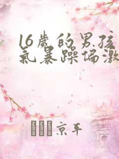 16岁的男孩脾气暴躁偏激是什么原因