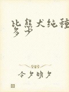 比熊犬纯种价格多少