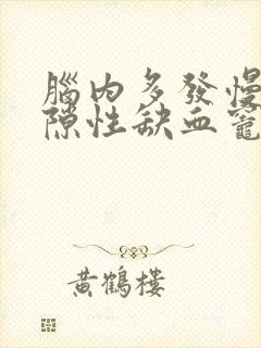 脑内多发慢性腔隙性缺血灶